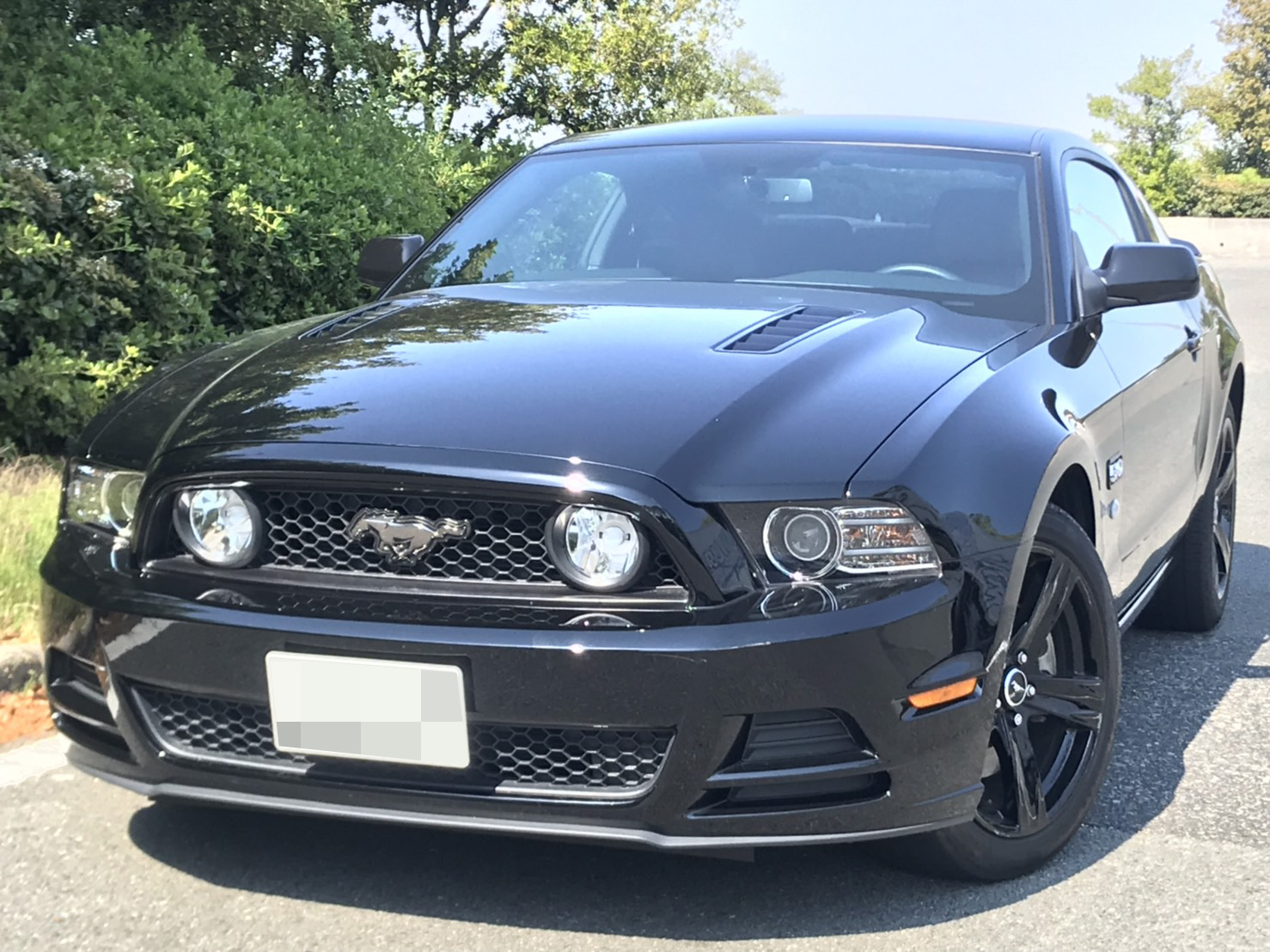 2014年型 フォード マスタング 5.0GT